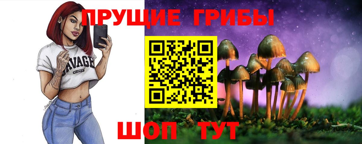 Псилоцибиновые грибы Psilocybine cubensis Кудрово
