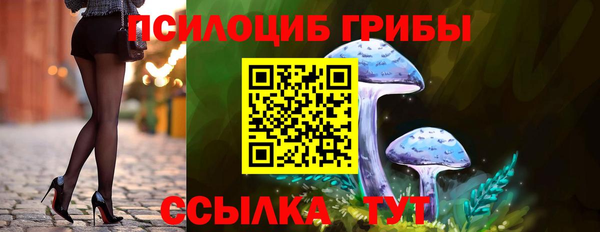 Кудрово  Галлюциногенные грибы GOLDEN TEACHER  Вход с VPN 