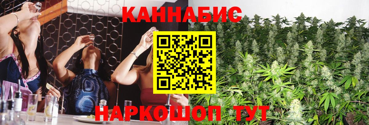 Бошки Шишки план Кудрово
